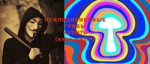 шишки Белокуриха