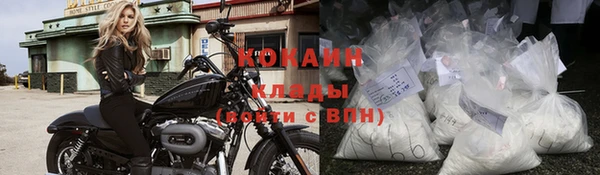 шишки Белокуриха