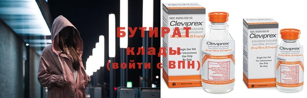 шишки Белокуриха