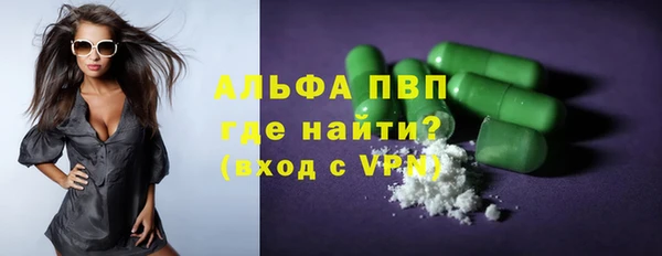 шишки Белокуриха