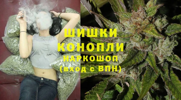 шишки Белокуриха
