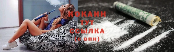шишки Белокуриха