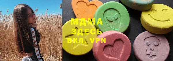 шишки Белокуриха